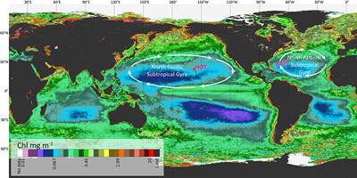 Regionalization and Dynamic Parameterization of Quantum Yield of Photosynthesis to Improve the Ocean Primary Production Estimates From Remote Sensing